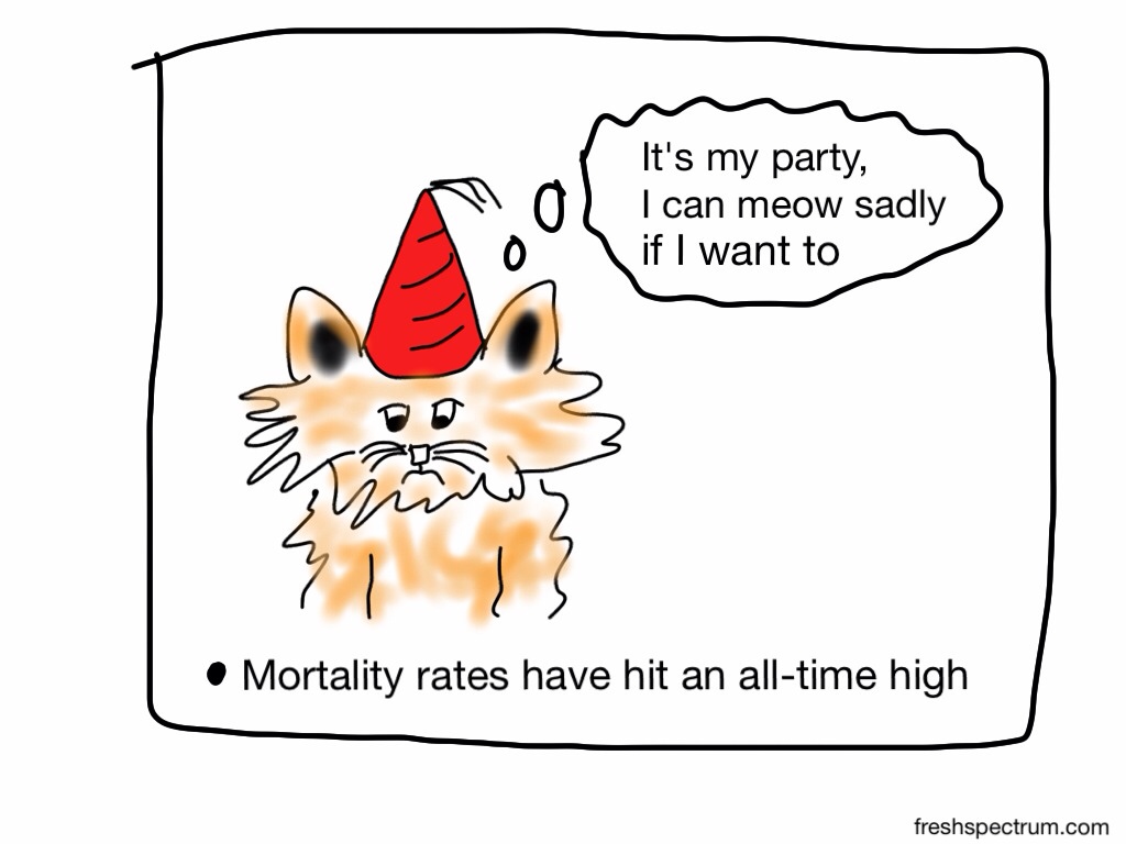 Sad kitty and mortality