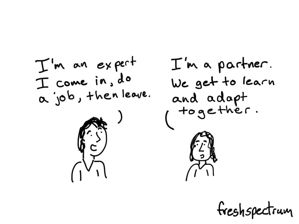 expert-vs-partner