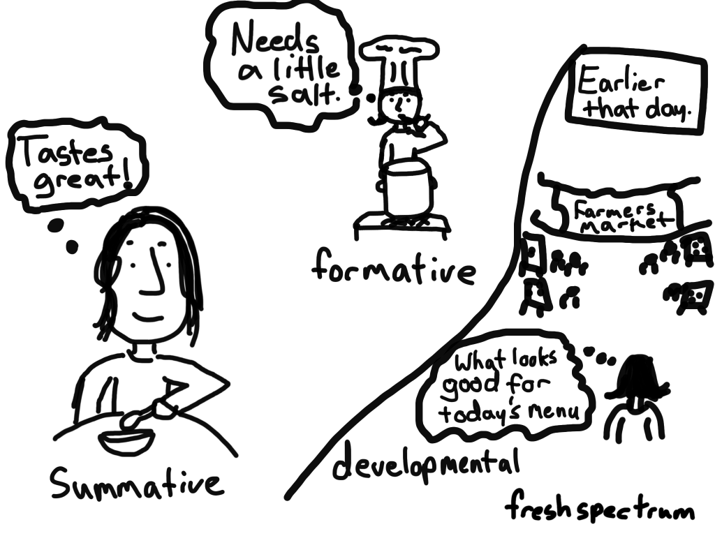 What is Summative Evaluation Cartoon by Chris Lysy.

Summative is the customer eating the soup, formative is the chef tasting the soup, developmental evaluation is visiting the farmer's market.