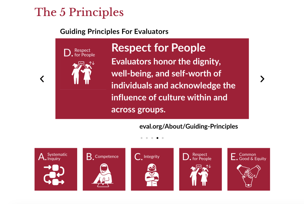 Screenshot showing the guiding principles top section.