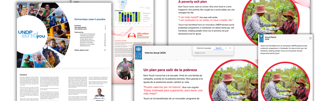 Lessons from the UNDP Annual Report…is it just a Checkbox Report?